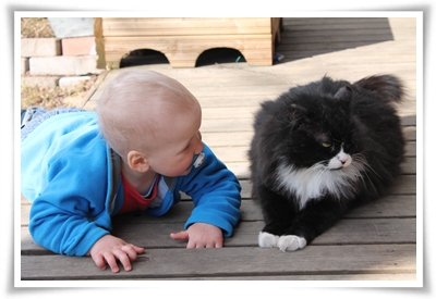 Tildas kalas 2013 076